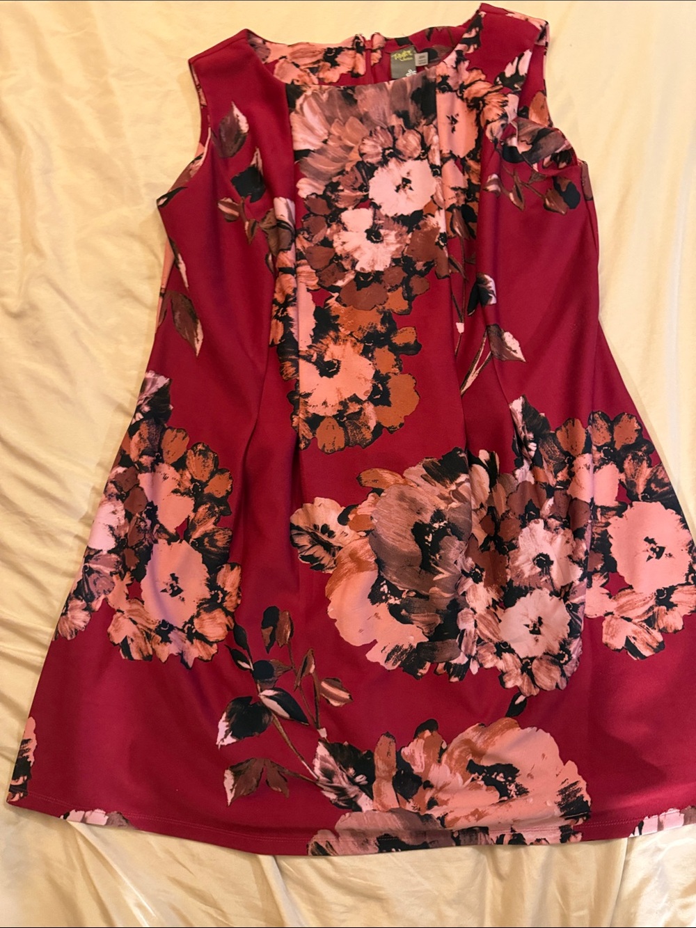 Taylor Red Floral Sleeveless A-Line Dress